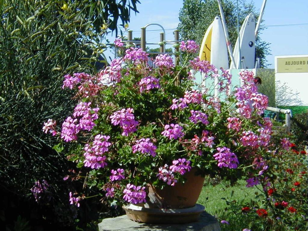 Отель Camping De La Baie Ла-Трините-сюр-Мер Экстерьер фото